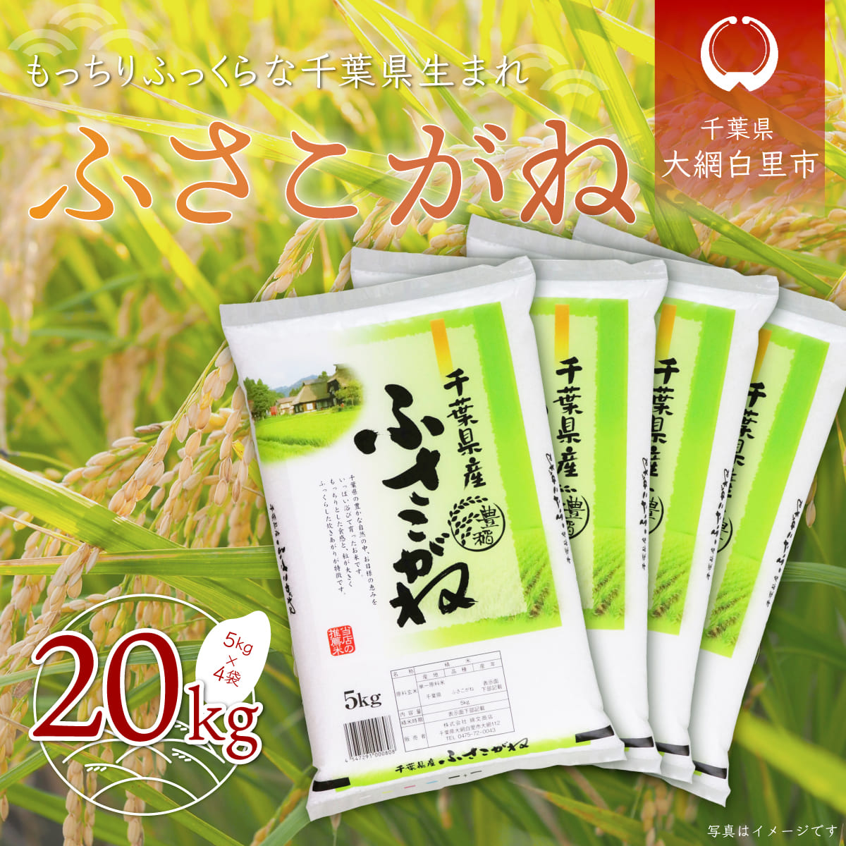 9300円 【99%OFF!】 新米 令和4年産 千葉県産 ふさこがね 20kg 5kg×4袋 お米 大網白里市 米 精米 こめ 送料無料 A005