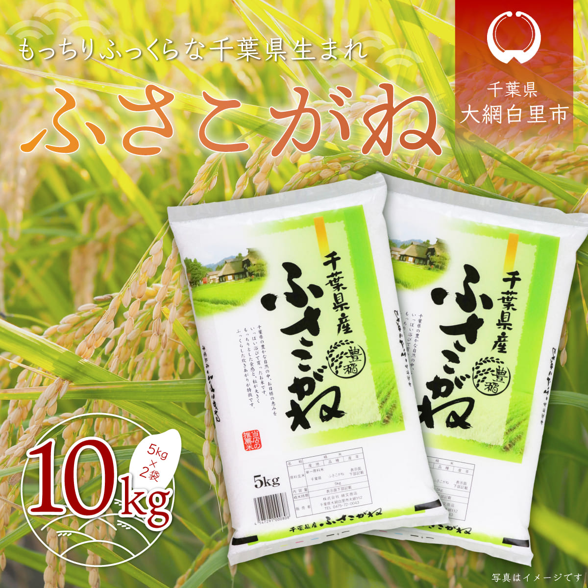 楽天市場】【ふるさと納税】令和3年産 千葉県産「ふさこがね」玄米10kg（10kg×1袋） ふるさと納税 玄米 10kg 千葉県産 大網白里市 ふさこが ね 米 こめ 送料無料 A012 : 千葉県大網白里市