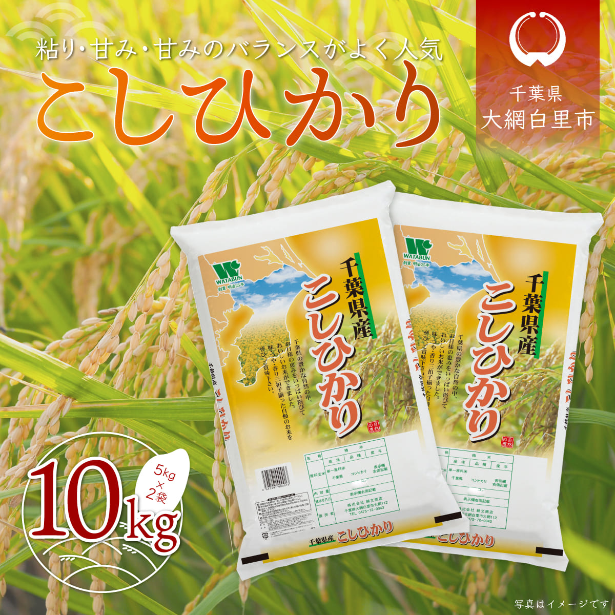 楽天市場】【ふるさと納税】【期間限定5kg増量/緊急支援】令和4年産コシヒカリ15kg+ふさこがね5kg お米 20kg 千葉県産 大網白里市  コシヒカリ 米 精米 こめ 送料無料 G004 : 千葉県大網白里市