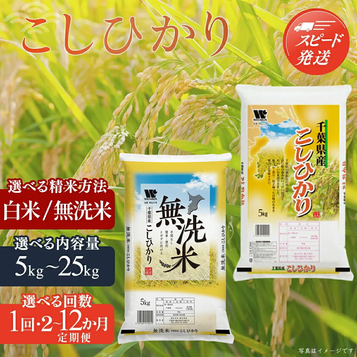 【ふるさと納税】期間限定フェスタ対象!(白米10kg1回)【最短2営業日出荷※定期便除く】米 お米 無洗米 白米 コシヒカリ 令和7年産 精米 選べる精米 容量 定期便(1回〜12回)おこめ こめ こしひかり ブランド米 5kg 10kg 15kg 20kg 25kg 千葉県 大網白里市 千葉県産米:千葉県大網白里市