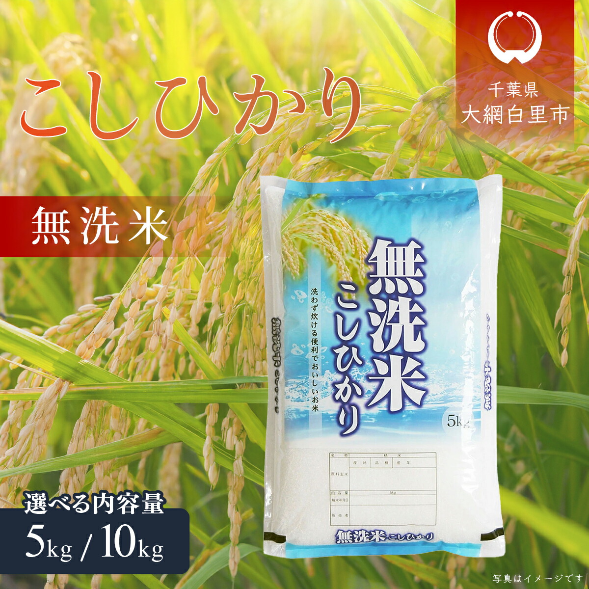 楽天市場】【ふるさと納税】令和6年産 千葉県産コシヒカリ(精米 楽天市場】【ふるさと納税】令和6年産 千葉県産コシヒカリ(精米