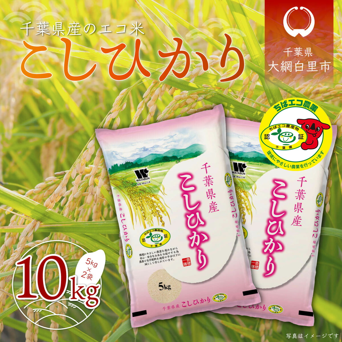 新米 令和4年産 千葉県産エコ米 コシヒカリ 10kg 5kg×2袋 お米 千葉県産 大網白里市 エコ米 米 精米 こめ 送料無料 A002  【ふるさと割】