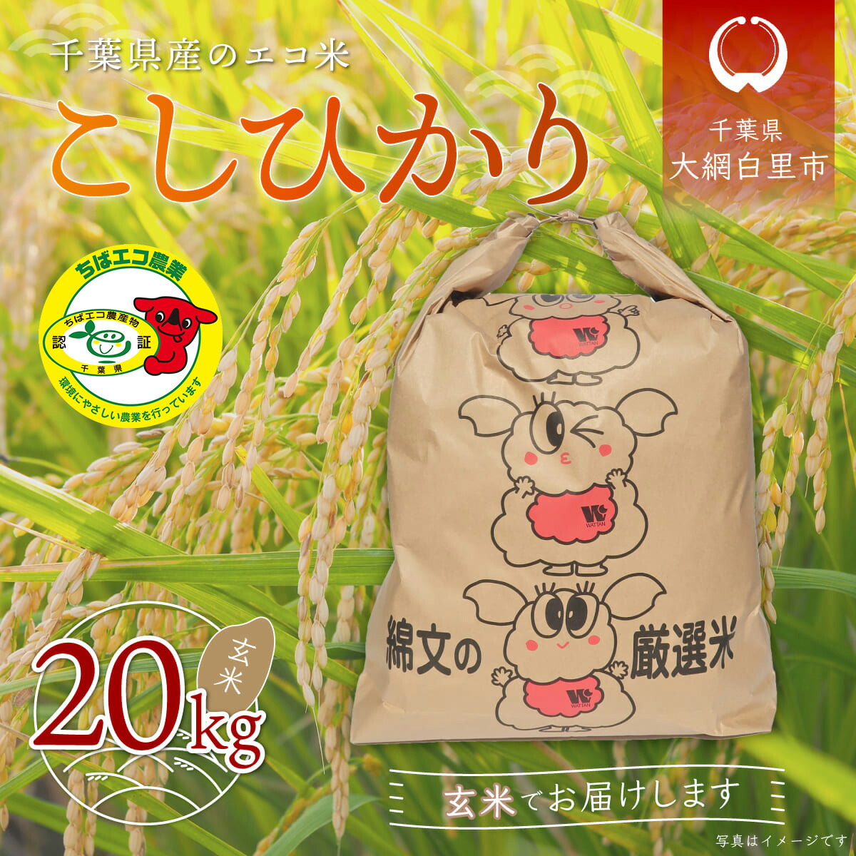 楽天市場】【ふるさと納税】千葉県産「ふさこがね」玄米20kg（20kg×1袋）ふるさと納税 米 お米 20kg 千葉県産 大網白里市 ふさこがね 玄米  こめ 送料無料 A009 : 千葉県大網白里市