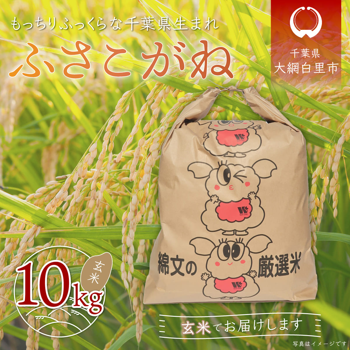 楽天市場】【ふるさと納税】千葉県産「ふさこがね」玄米20kg（20kg×1袋）ふるさと納税 米 お米 20kg 千葉県産 大網白里市 ふさこがね 玄米  こめ 送料無料 A009 : 千葉県大網白里市