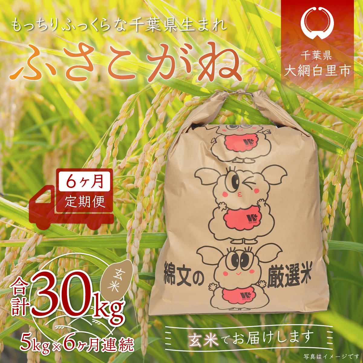 新作からSALEアイテム等お得な商品 満載 6ヶ月定期便 新米 千葉県産 ふさこがね 玄米5kg×6ヶ月連続 計30kg ふるさと納税 玄米 定期便  5kg 千葉県 大網白里市 送料無料 A017 fucoa.cl