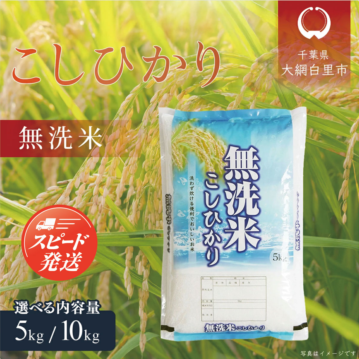 【ふるさと納税】令和6年産 千葉県産「無洗米コシヒカリ」選べる 5kg/10kg（5kg×1袋/2袋）ふるさと納税 米 無洗米 コシヒカリ こしひかり 千葉県 大網白里市