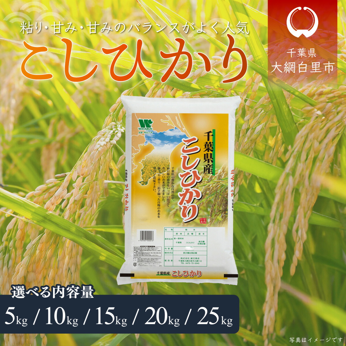楽天市場】【ふるさと納税】令和6年産 千葉県産コシヒカリ(精米