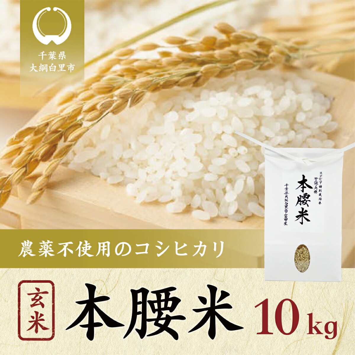 最終決算 本腰米10kg 玄米 千葉県産コシヒカリ 農薬不使用 お米 10kg 千葉県産 大網白里市 コシヒカリ 米 こめ 送料無料 F006  fucoa.cl