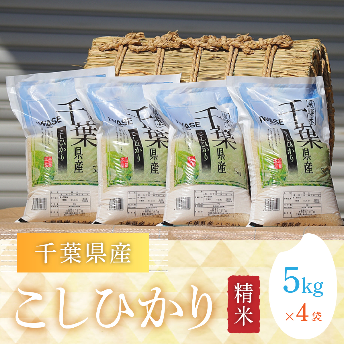 楽天市場】【ふるさと納税】令和3年産 千葉県産「粒すけ」10kg（5kg×2袋）ふるさと納税 米 お米 10kg 千葉県産 大網白里市 粒すけ 精米  こめ 送料無料 A006 : 千葉県大網白里市