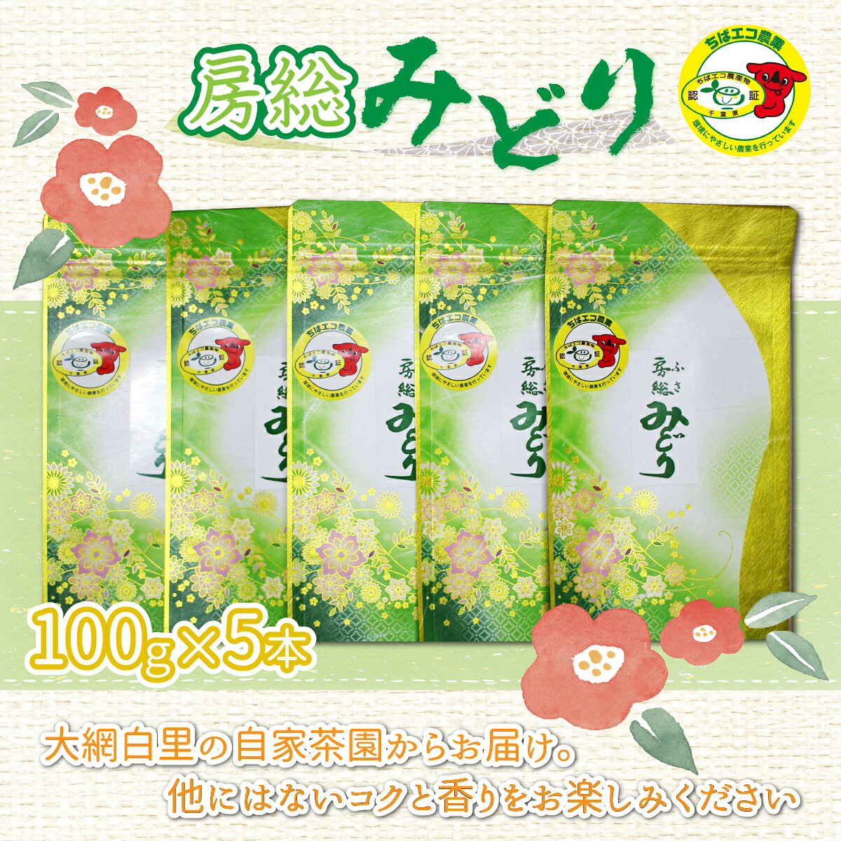 【ふるさと納税】【ちばエコ農産物認証茶葉】房総みどり5本セット 【 ふるさと納税 人気 おすすめ ランキング お茶 緑茶 日本茶 茶葉 千葉県 大網白里市 送料無料 】 H001|千葉県大網白里市