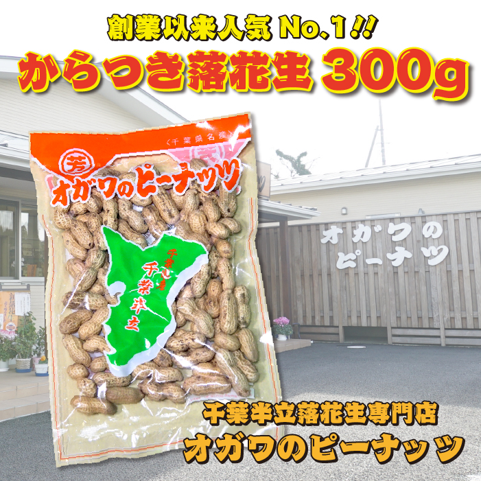 素煎ピーナッツ 塩分不使用 5袋 のし対応 おやつ 贈答用 千葉半立