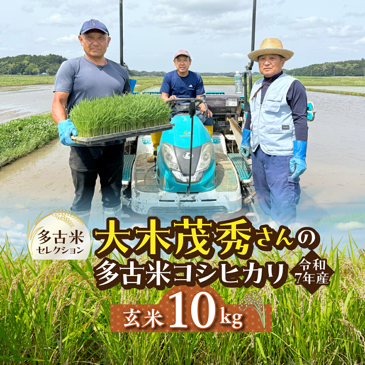 【ふるさと納税】多古米セレクション 大木茂秀さんの多古米コシヒカリ 玄米10kg 令和7年産【配送不可地域:離島】【TAKF058】|千葉県多古町