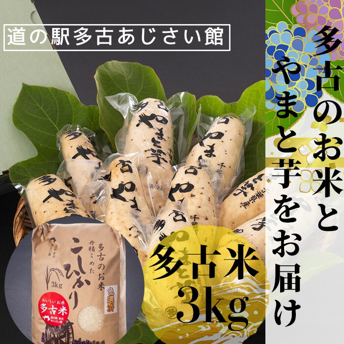 海外 切り落とし ふるさと納税 元気豚 豚肉 3kg 精肉・肉加工品