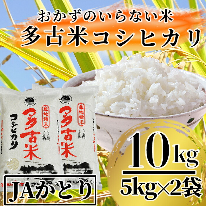 海外 切り落とし ふるさと納税 元気豚 豚肉 3kg 精肉・肉加工品