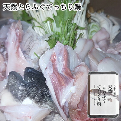 【ふるさと納税】九十九里産天然とらふぐてっちり鍋用2人前 魚貝類 ふぐの身 ふわふわ 旨味 濃縮 濃厚な味わい 鍋物 海鮮鍋 海鮮 魚介 海の幸 鍋用とらふぐ 鍋用ふぐの身 ｜千葉県九十九里町