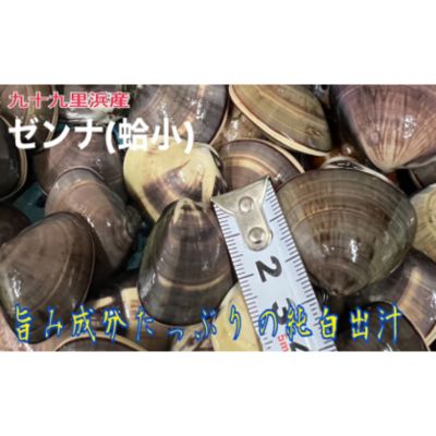 【ふるさと納税】大漁盛りがお得うま味が濃い純白出汁の天然”ゼンナ”冷凍（蛤小）10kg入り 魚貝類 旨み 濃厚な出汁 天然はまぐり 身が厚い 甘み 貝 海の幸 海鮮 国産 九十九里浜産