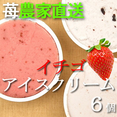 【ふるさと納税】イチゴ農家のこだわり いちごアイスクリーム詰め合わせセット　Bell Farm(3種×2個)6個【配送不可地域：離島】【1082439】