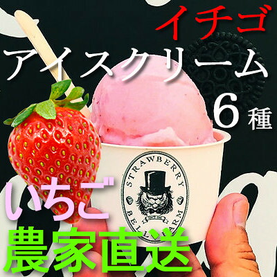 【ふるさと納税】摘み立て苺アイス 人気のいちごアイスクリームセット　Bell Farm のこだわり 6個セット【配送不可地域：離島】【1133535】