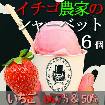 【ふるさと納税】農家直送!の美味しい いちごシャーベット　BELL FARM 2種×3　6個セット【配送不可地域：離島】【1384266】