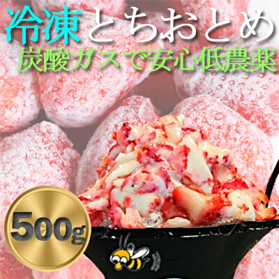 【ふるさと納税】農家直送だから苺本来の美味しさ!BELL FARMの冷凍 いちご500g 収穫当日冷凍の苺【配送不可地域：離島】【1506089】