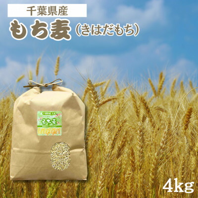 【ふるさと納税】食物繊維たっぷりの『もち麦』(きはだもち) 4kg 千葉県横芝光町産　もち麦ごはん【1522911】