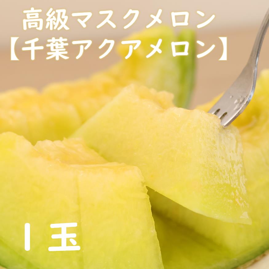 【ふるさと納税】高級マスクメロン　千葉アクアメロン　１玉　2L～3Lサイズ　千葉県産　化粧箱入り　生産者直送