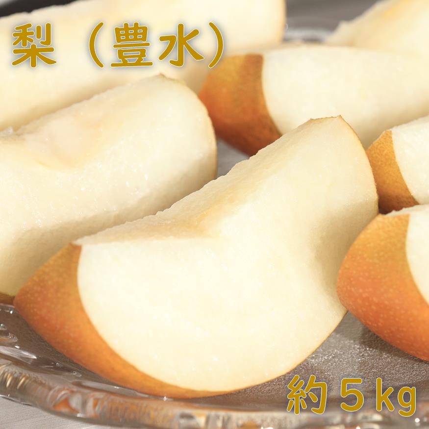 【ふるさと納税】【先行予約】梨（豊水）約５kg　2025年発送分　千葉県産　長生　一宮