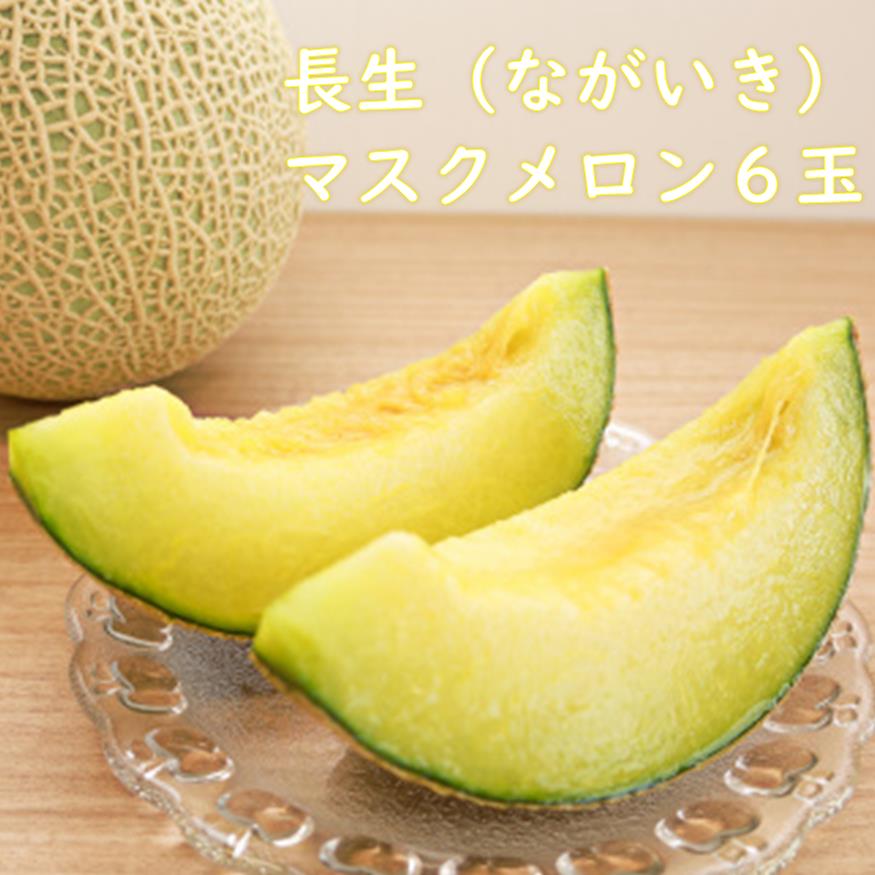 【ふるさと納税】【先行予約】長生　マスクメロン ６玉（２Ｌサイズ）約９ｋｇ　※2025年発送分 千葉県　長生郡　長生メロン　ながいき　産地　直送　数量限定　一宮