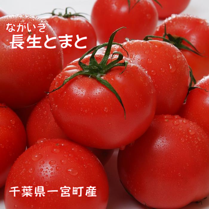【ふるさと納税】とまと １箱（20～24個(約4kg)）　トマト　千葉県　長生トマト　4kg