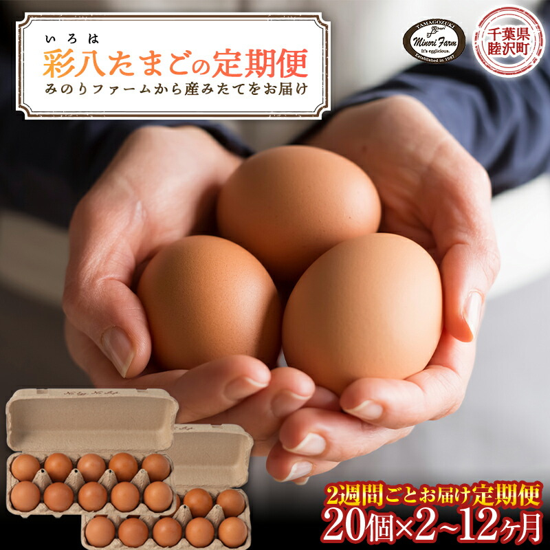 【ふるさと納税】2週間ごとにお届け たまご 20個 とれたて定期便 (2～12か月) 彩八(いろは)  国産 鶏卵 卵 玉子 タマゴ 生卵 濃厚 コク  F21G-247var