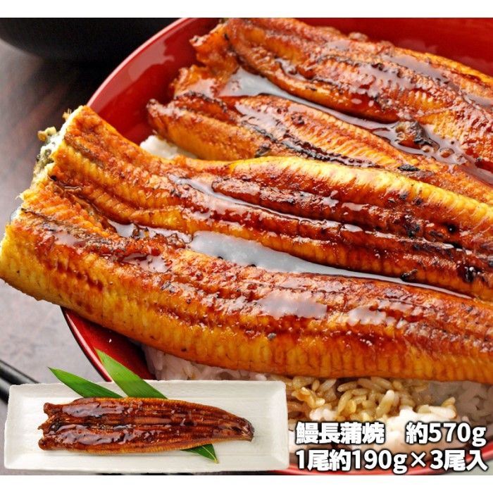 最大55%OFFクーポン 特大うなぎ長蒲焼 570g