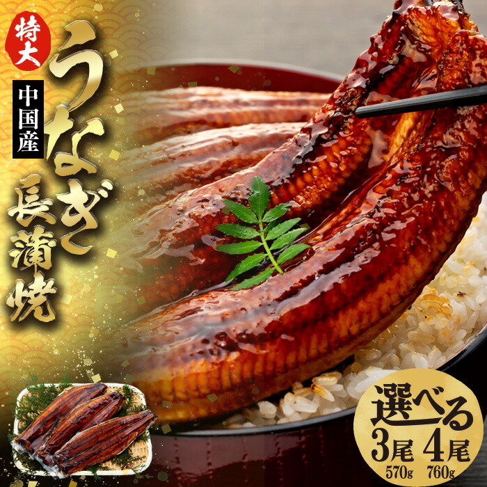 【ふるさと納税】特大うなぎ長蒲焼 570g～760g 冷凍 鰻 うなぎ ウナギ 蒲焼き 蒲焼 タレ 真空パック お取り寄せ グルメ うな重 ひつまぶし ふるさと 納税 千葉県 長生村