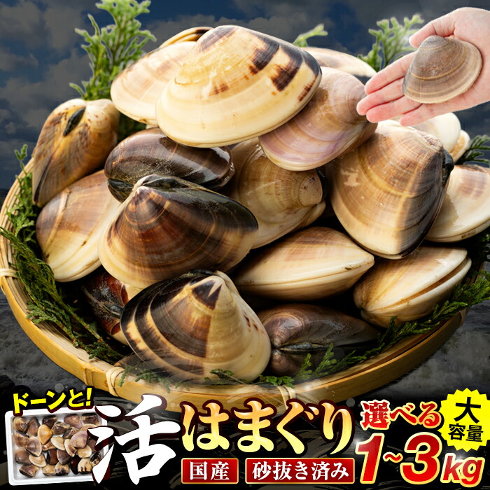 【ふるさと納税】 千葉県産活ハマグリ 1kg ～ 3kg 天然 はまぐり ハマグリ 蛤 貝 魚介 お取り寄せ グルメ ふるさと 納税 千葉県 長生村 九十九里