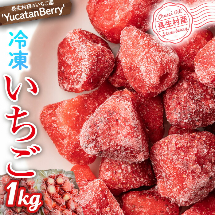 【ふるさと納税】＜先行予約受付中＞長生村産冷凍いちご1kg【2025年3月以降発送】