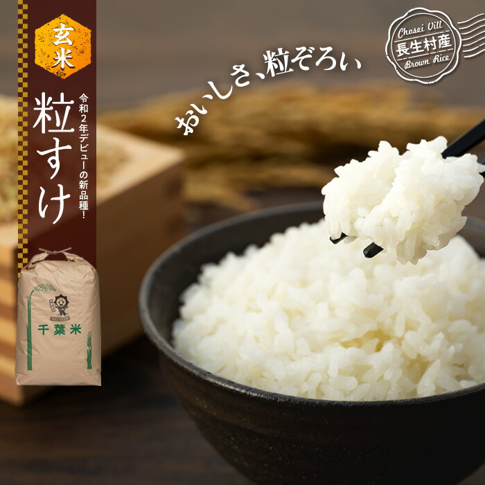 【ふるさと納税】【令和7年産新米】粒すけ（玄米30kg～60kg）令和7年産 玄米 新米 石抜き 色彩選別機処理済 千葉県独自品種 ふるさと 納税 千葉県産 長生村 千葉県