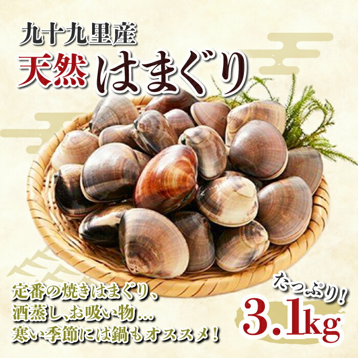 【ふるさと納税】九十九里産 大粒 天然はまぐり3.1kg ふるさと納税 はまぐり 蛤 天然 焼きはま 網焼き 酒蒸し お吸い物 お祝い パエリア 和食 活はまぐり 川喜屋水産 節句 ひな祭り ひなまつり  手土産 送料無料 SHF002