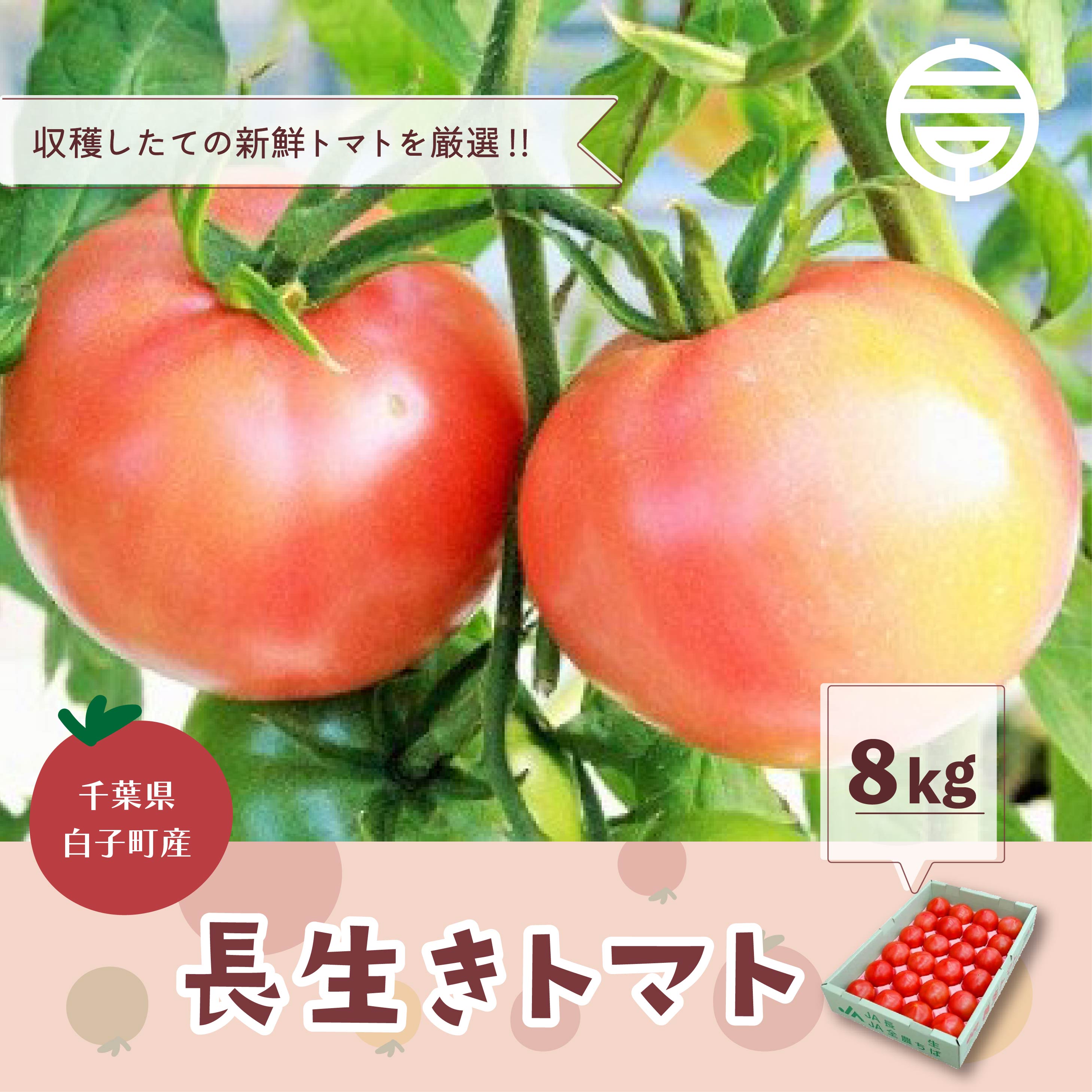 【ふるさと納税】千葉県長生トマト8kg ふるさと納税 トマト リコピン サラダ イタリアン 健康 美容 送料無料 SHK004