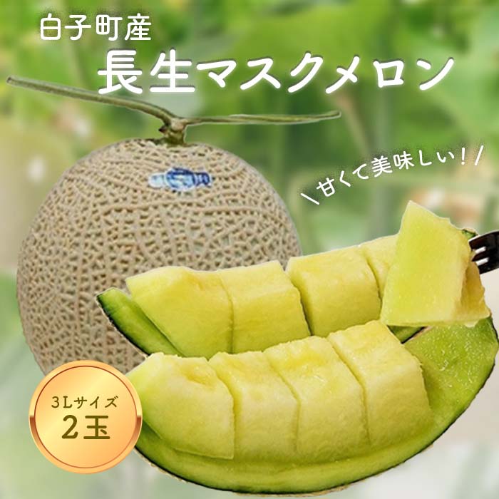 【ふるさと納税】【令和７年発送先行予約 / 数量限定】甘くて美味しい！長生マスクメロン２玉（３L） ふるさと納税 メロン マスクメロン 長生マスクメロン ながいきマスクメロン２玉 先行予約 直送 果物 追熟 青肉 甘い デザート お見舞い 果物 手土産 送料無料 SHK005