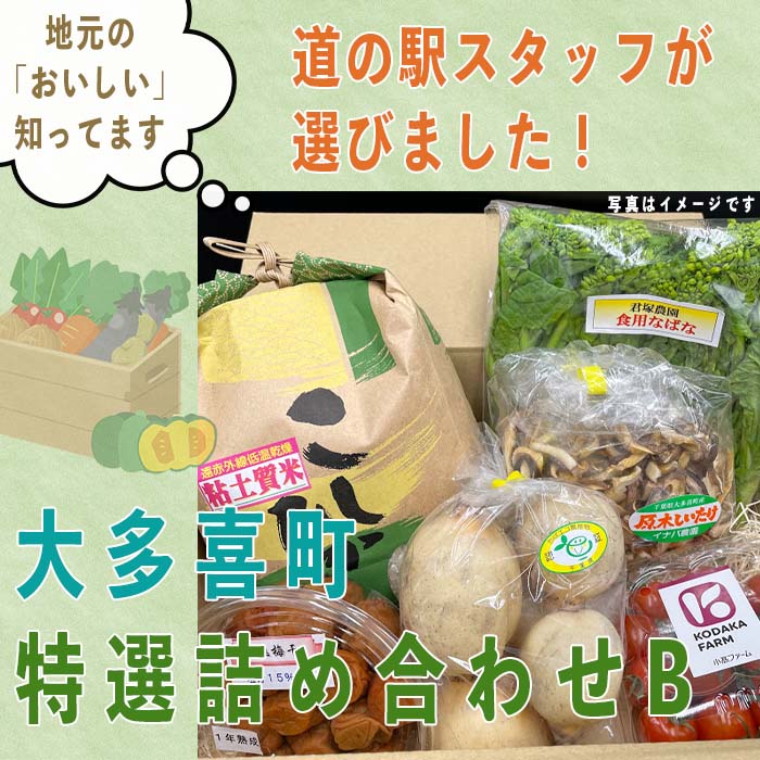 【ふるさと納税】道の駅　詰め合わせ  道の駅たけゆらの里おおたき特選詰め合わせB T02031