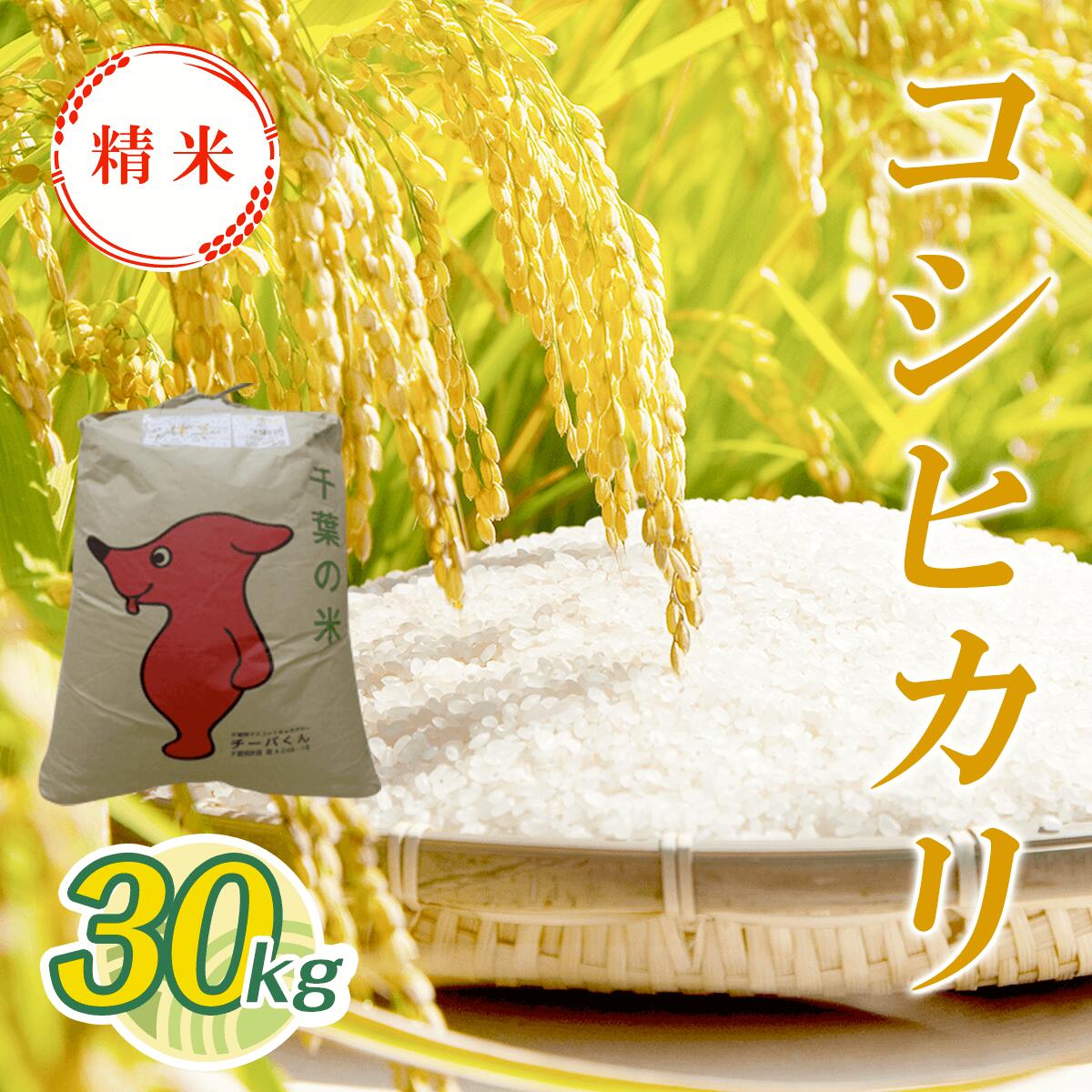 楽天市場】【ふるさと納税】令和7年産 新米 コシヒカリ玄米 30kg