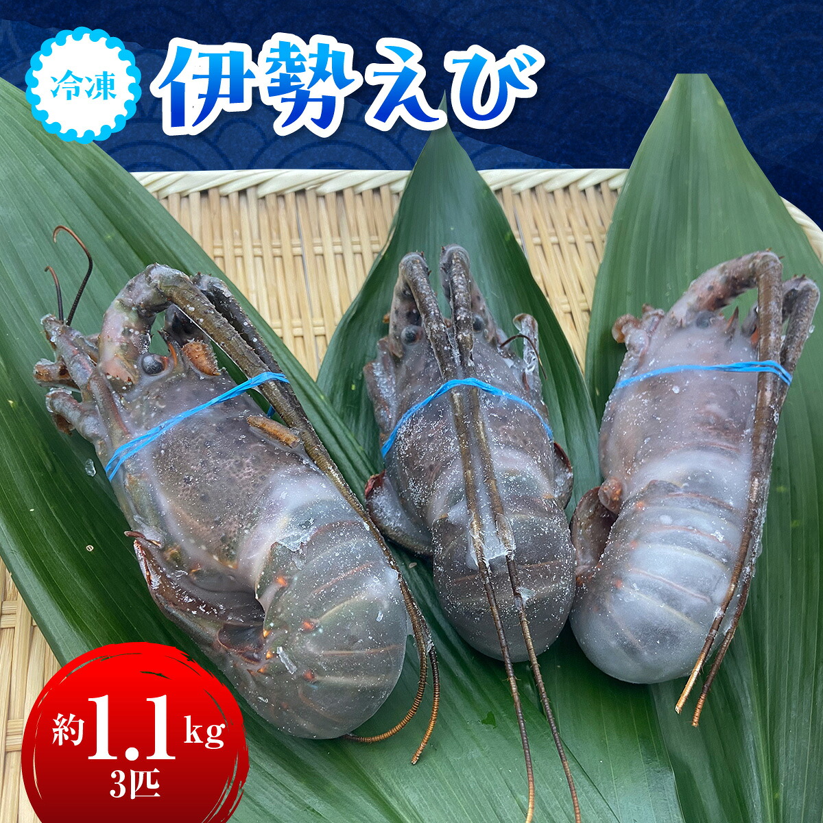【ふるさと納税】C114 冷凍伊勢えび１.１kg(300～400g&times;３匹入) ONJA037｜千葉県御宿町 26,625円