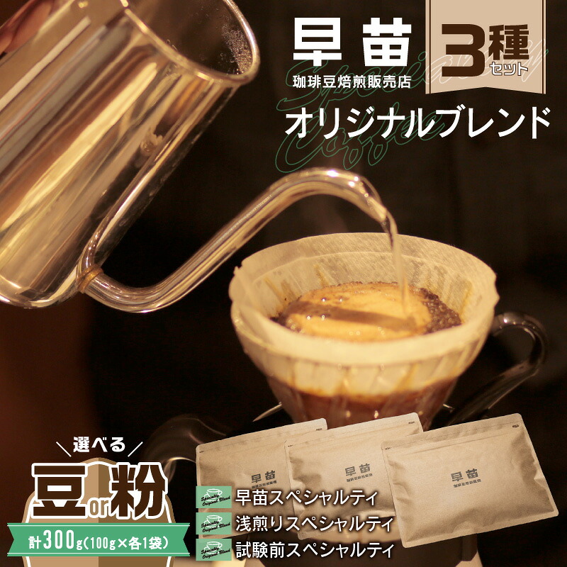 【ふるさと納税】【早苗】焙煎珈琲豆(オリジナルブレンド3種セット 各100g) スペシャルティコーヒー 珈琲 セット 3種 詰め合わせ 飲みやすい ジッパー チャック付き 100g 豆 粉 東京 新宿 0020-002-S05|東京都新宿区