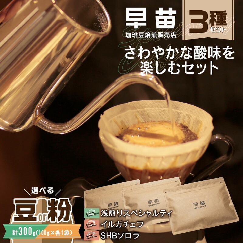 【ふるさと納税】【早苗】焙煎珈琲豆（さわやかな酸味を楽しむセット 3種&times;各100g） スペシャルティコーヒー 珈琲 セット 3種 浅煎り 軽め さっぱり さわやか酸味 ジッパー チャック付き 豆 粉 東京 新宿 0020-006-S05｜東京都新宿区 8,880円