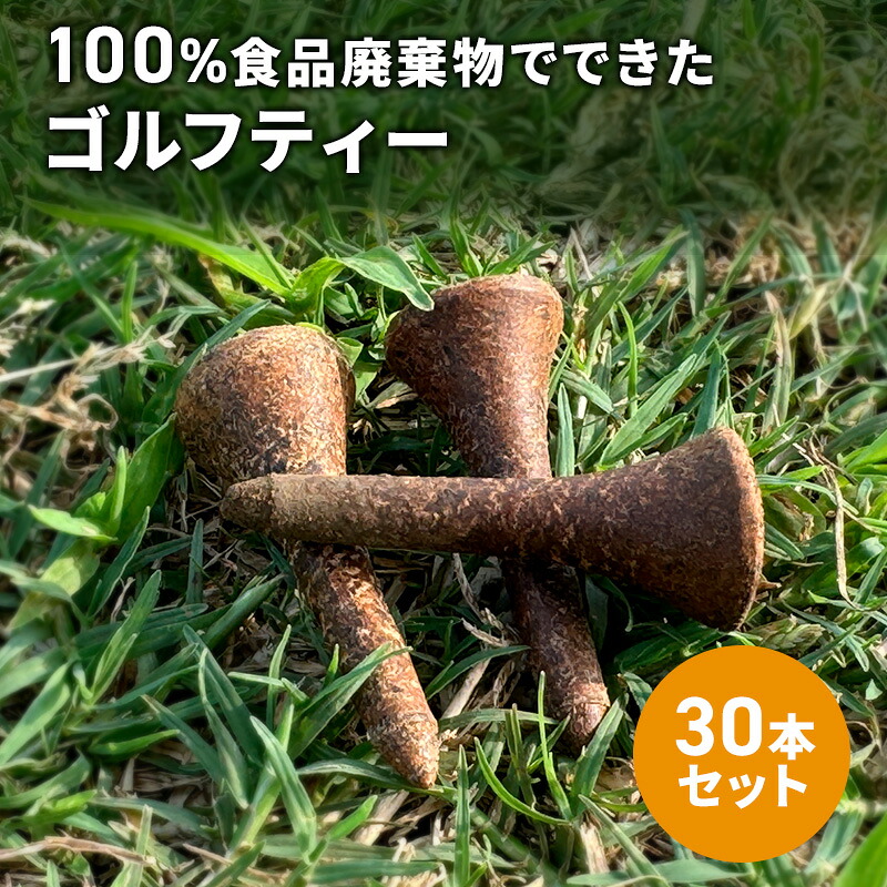 【ふるさと納税】100％食料雑貨類取りさげる物でできたゴルフ紅茶（30本書き割り） ゴルフ紅茶 紅茶 ゴルフ装置  大田区 日本の首都