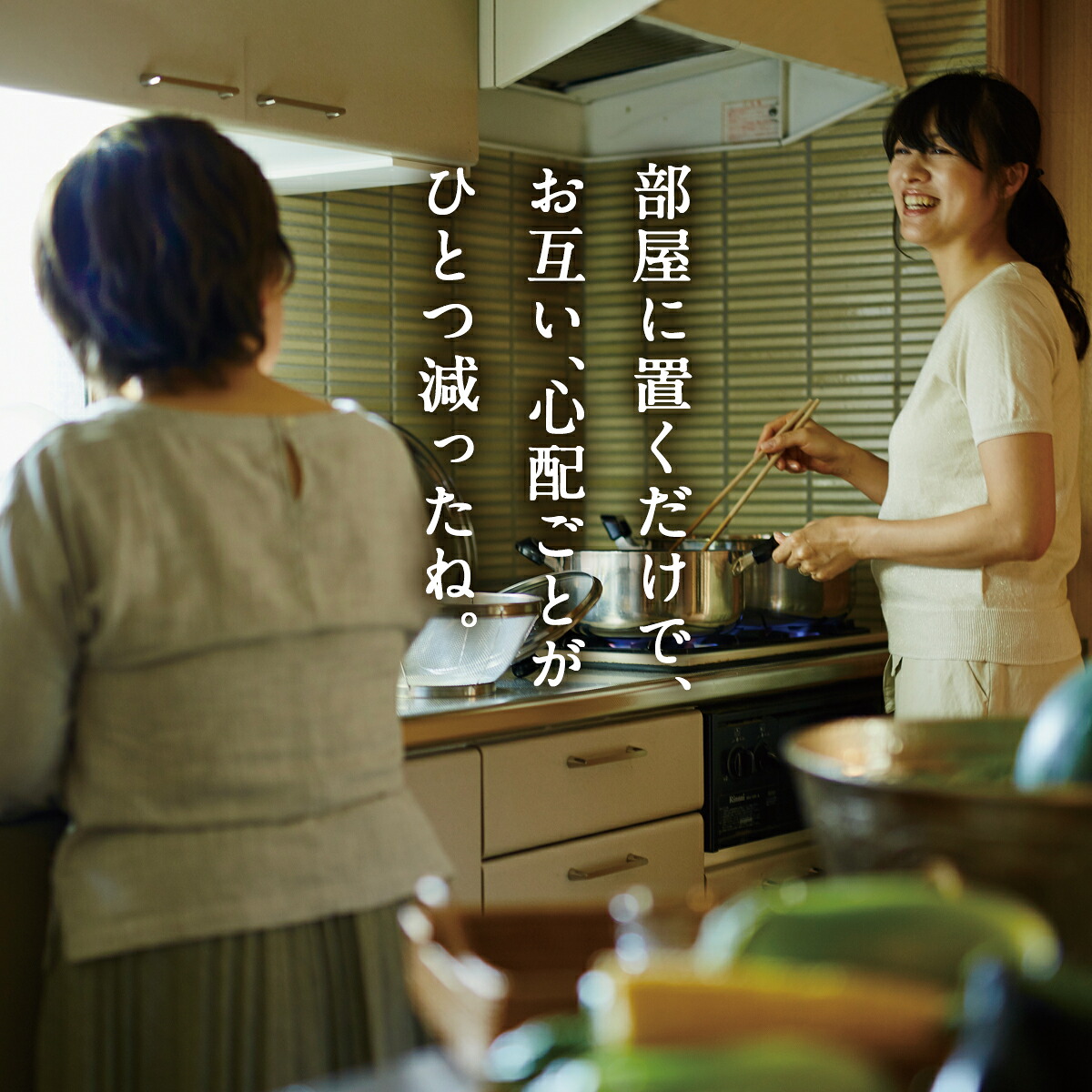ふるさと納税×レコルト ボンネット中央処理装置｜日毎夜毎の一皿分の料理を、もっと親しさに。