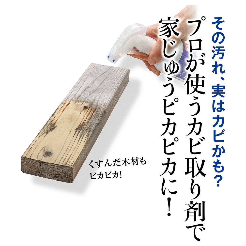 然り気無い日常を目覚ましいの心おぼえに 写真機特集