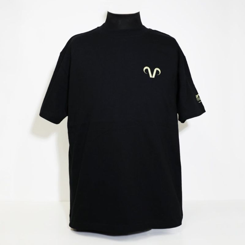 希少！レア！デンソーアイリス　サイン入り　Tシャツ　XLサイズ　バッケットボール 楽天市場】【ふるさと納税】No.343 デンソーアイリス 全選手