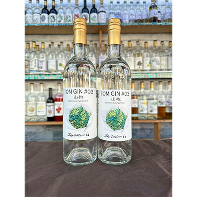 【ふるさと納税】「板橋のいっぴん」サンショウ香る　クラフトトムジン　700ml×2本セット【24012005】【1585197】
