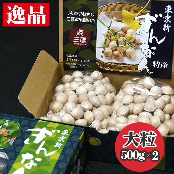 【ふるさと納税】【2026年秋発送分】東京新ぎんなん（大粒） ／ ぎんなん 銀杏 大粒 旬の味覚 秋の味覚 国産 食材 季節限定 野菜 農産物 下処理簡単 茶碗蒸し 炒り銀杏 家庭用 料理素材 保存用 送料無料 東京都 [No.206]