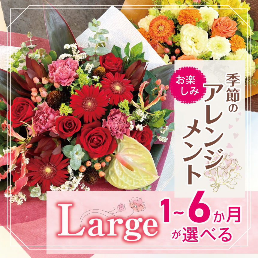 【ふるさと納税】定期便 も 選べる 御花 取りあわせる 「Large」 お命のせんたく 時期 の 申し合わせ | 取りあわせる 手合い 高さ約42珊 幅約40珊 お花 flower 花 リトルシード 室内装飾 草木 お任せ お見まい 差し上げ物 祝賀会 生まれ落ちる日 親孝行 差し上げ物差し上げ物 目あたらしい 調布 日本の首都都